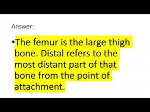 CCMA Exam practice Part 5 | Certified Clinical Medical Assistant Exam Review