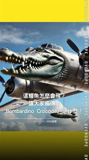 OVERDOPE | 🔥這鱷魚怎麼會飛？讓大家瘋傳的「Bombardino Crocodilo」是什麼？🔥 近期來自抖音的爆紅 AI 迷因 Italian Brainrot （腦腐）瘋傳全網，其中最具代表性的角色，是一架長著鱷魚臉的軍事轟炸機 ，名為 Bombardino... | Instagram