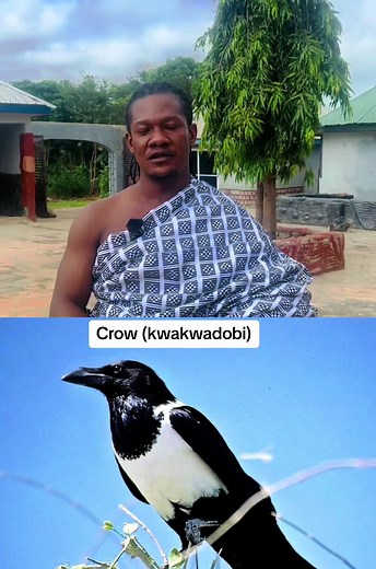 African Voodoo Spirit: The Crow Ritual in Ghana
