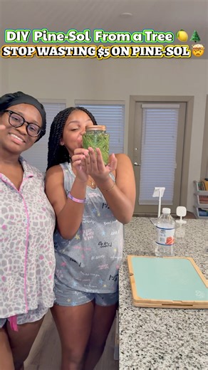 Why spend $5 on Pine-Sol when you can make it for basically FREE? 🌲🍋 In this video, I’ll show you how I made a DIY Pine-Sol dupe using pine needles from a tree, a lemon, and a $1.25 mason jar from Dollar Tree. This natural cleaner smells AMAZING, works on floors, counters, and baseboards, and costs pennies. Perfect for anyone trying to save money, keep their house clean, and ditch harsh chemicals. ✨ Drop a 🌲 if you’re gonna try this! ✨ Don’t forget to LIKE, SHARE, & SUBSCRIBE for more cleanin