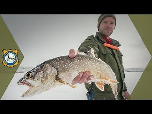 Best Lake Trout Lures