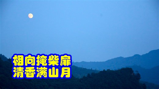 品鉴唐诗 相向掩柴扉 清香满山月 皮日休 《茶舍》