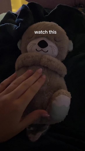 HeartBeat Huggable on TikTok