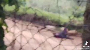 Pray for Kasese bunyangabo people 🥹🥹 | Moses Airport pickup 256756990079