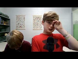 the cronicles of narnia