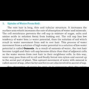 uptake of water from soil chapter 9 9th class biology Sindh text book board #kotri