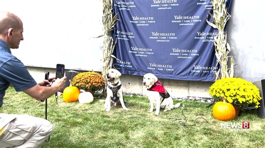 Yale throws retirement party for K9 Heidi