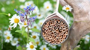Handmade bug hotel made from rusty food cans hangin in cottage garden around ox-eye or dog daisies and borage flowers. Create a DIY bug hotel for garden. Kids craft and helping wild animals concept.