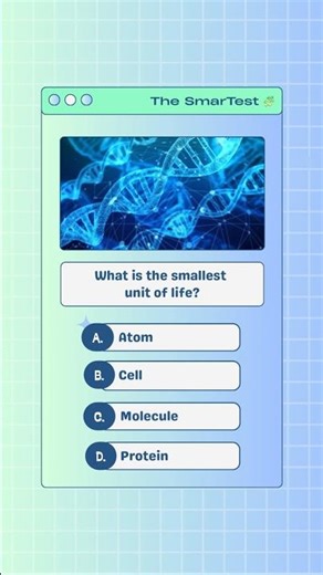 General Knowledge #Quiz 🧠 Are you really smart? Find out! 🧩