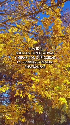Atención en lo simple, sentido en la vida cotidiana 🌿 #mindfulness #vida #presencia