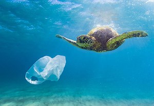 Five solutions to ocean plastic pollution - Recycle Track Systems