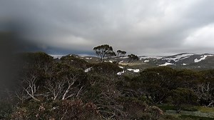 Summer #2 Charlotte Pass Kosciuszko Snowy Mountain New South Wales Aus. | Inday ngabil