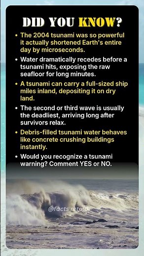 This Tsunami Actually Changed Earth's Rotation