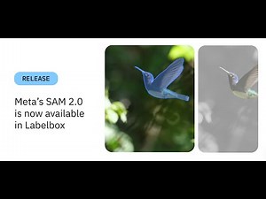 Meta’s SAM 2.0 is now available in Labelbox