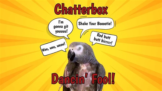 31K views · 1.5K reactions | Get ready to be entertained by Einstein...