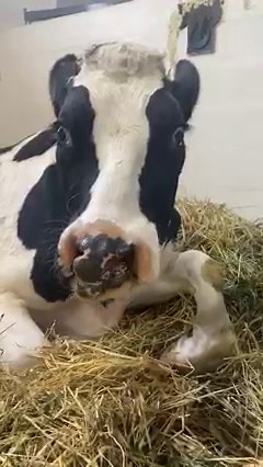 164K views · 6K reactions | JUDE UPDATE❤️ Jude has been in the...