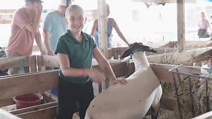 The 2025 Pennsylvania Tioga County Fair was a huge success! We were thrilled to have beautiful weather and record-breaking crowds at the track. None of this would be possible without the year-round dedication of our amazing fair board—and the incredible generosity of our volunteers and sponsors. Thank you all for making this year unforgettable! Subscribe to our YouTube Chanel https://www.youtube.com/@TiogaCountyFair 🎥Videography by Peter Kutbay Photography | Tioga County PA Fair