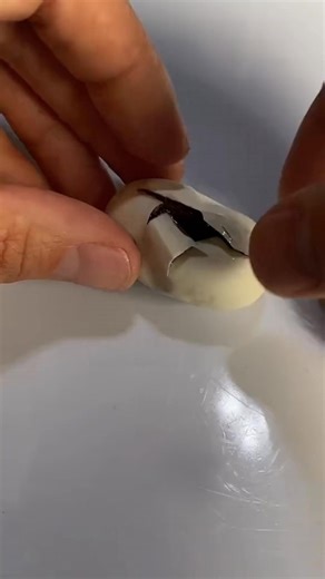 New children's pythons are hatching
