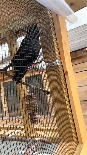 574 reactions · 59 shares | This is Church . Church is another...