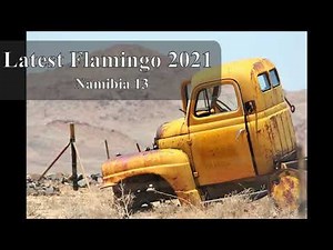 New flamingo 2020