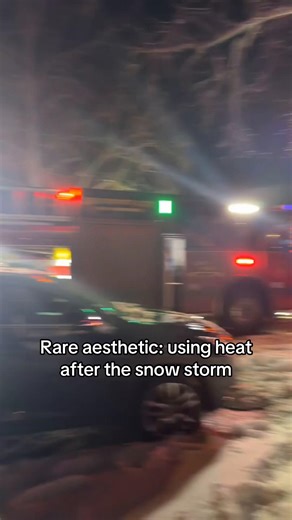 St. Louis Winter Snowstorm Aesthetic