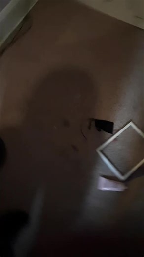 part 2 clean my room these parts are going to start to get longer and I'm going to do one vacuuming my room