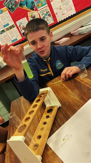 Engaging Start to Year 9 Shared Education