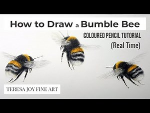 How to Draw a Bumble Bee in Coloured Pencil (REAL TIME Tutorial)