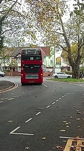 230 bus going to wood green