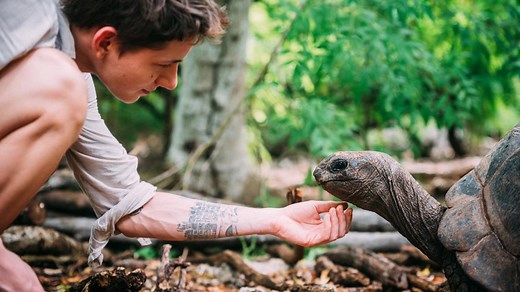 100+ Funny and Cute Tortoise Names for Every Shell