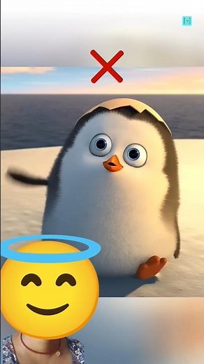 “The Crazy Way Emperor Penguins Protect Their Eggs from Freezing!”#facts #shots