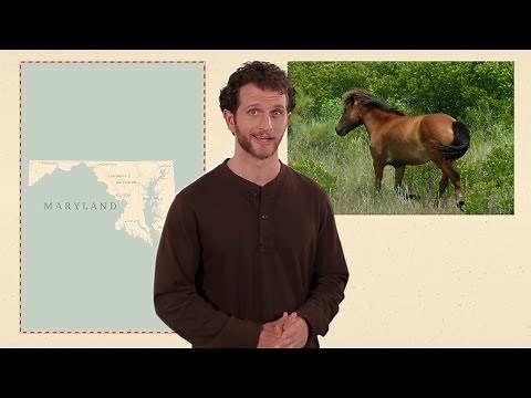 Maryland - 50 States - US Geography