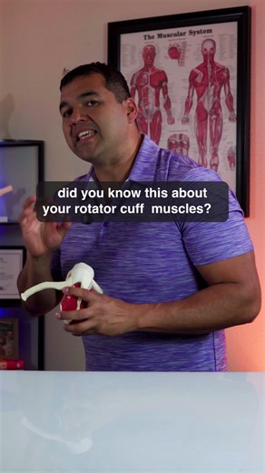 Did you know this about your rotator cuff muscles? | Rotator Cuff Tear
