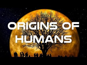Origins of Humans Documentary