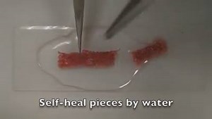 235K views · 2K reactions | Pesquisadores da Penn State University...