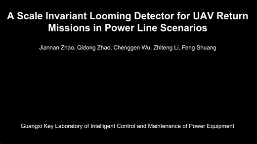Scale Invariant Looming Detector for UAV