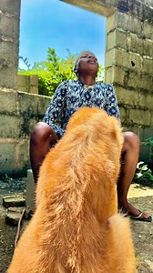 24M views · 352K reactions | The girl with the dog  | GT great | Facebook