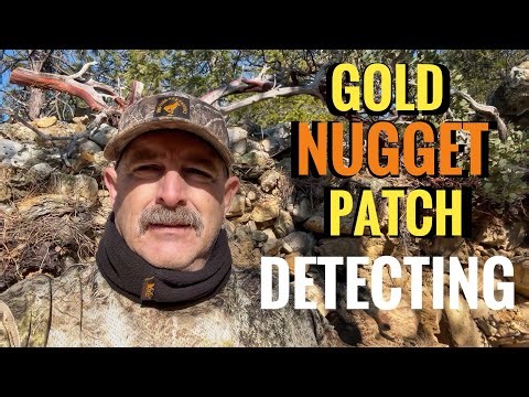 Gold Nugget Patch Detecting with the Gold Monster