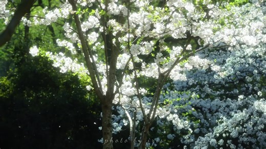 Người đặc biệt trong lòng bạn