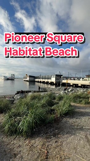 Explore Pioneer Square's Accessible Habitat Beach