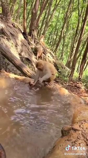 Time to take a bath 🤣
