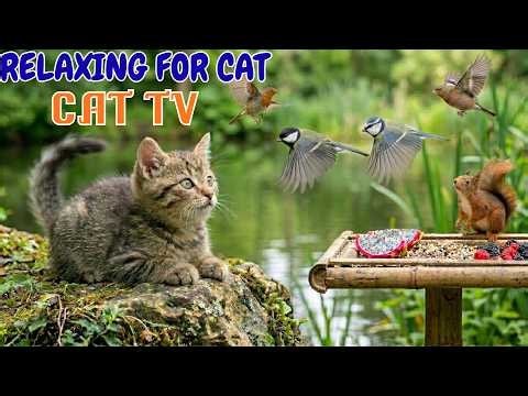 Relaxing Cat TV: Cozy Garden Birds & Squirrels in 4K HDR 🐦 | SkyBird Cat TV