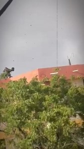 89K views · 1.4K reactions | Ciyaal BBG waxay dhihi jirern kuwaan cml ... dahab wayay dahab iguda 2daan  | Nasir Dheere | Facebook