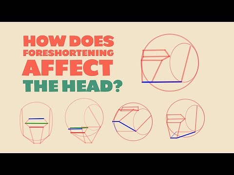 How Foreshortening Affects The Drawing Of The Head