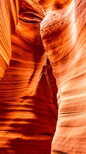 356K views · 342 reactions | 卵 Este truco no te lo sabías: Usa los colores adyacentes para crear composiciones más atractivas, atmósferas más atrapantes e imágenes más impactantes. 﫡 @guillegiagante te cuenta cómo identificarlos y cómo aprovechar la edición de fotos para potenciar su calidad. | Canon | Facebook