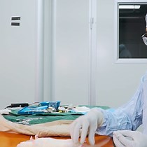 Video: A Mini-Invasive Internal Fixation Technique for Studying Immobilization-Induced Knee Flexion Contracture in Rats