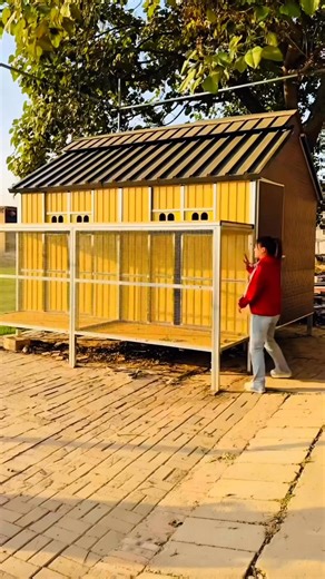 Beautiful new loft for racing pigeons #reelsvideoシ #fblifestyle #racingpigeons | Amazing Loft