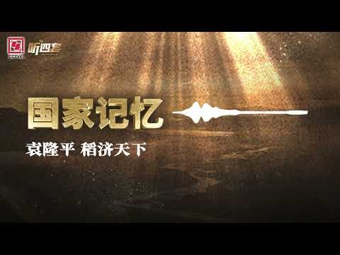 袁隆平 稻济天下丨国家记忆