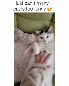 This is so cute and funny 😂😍 | Femaleclub