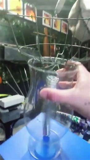 springtime in the rabbit room